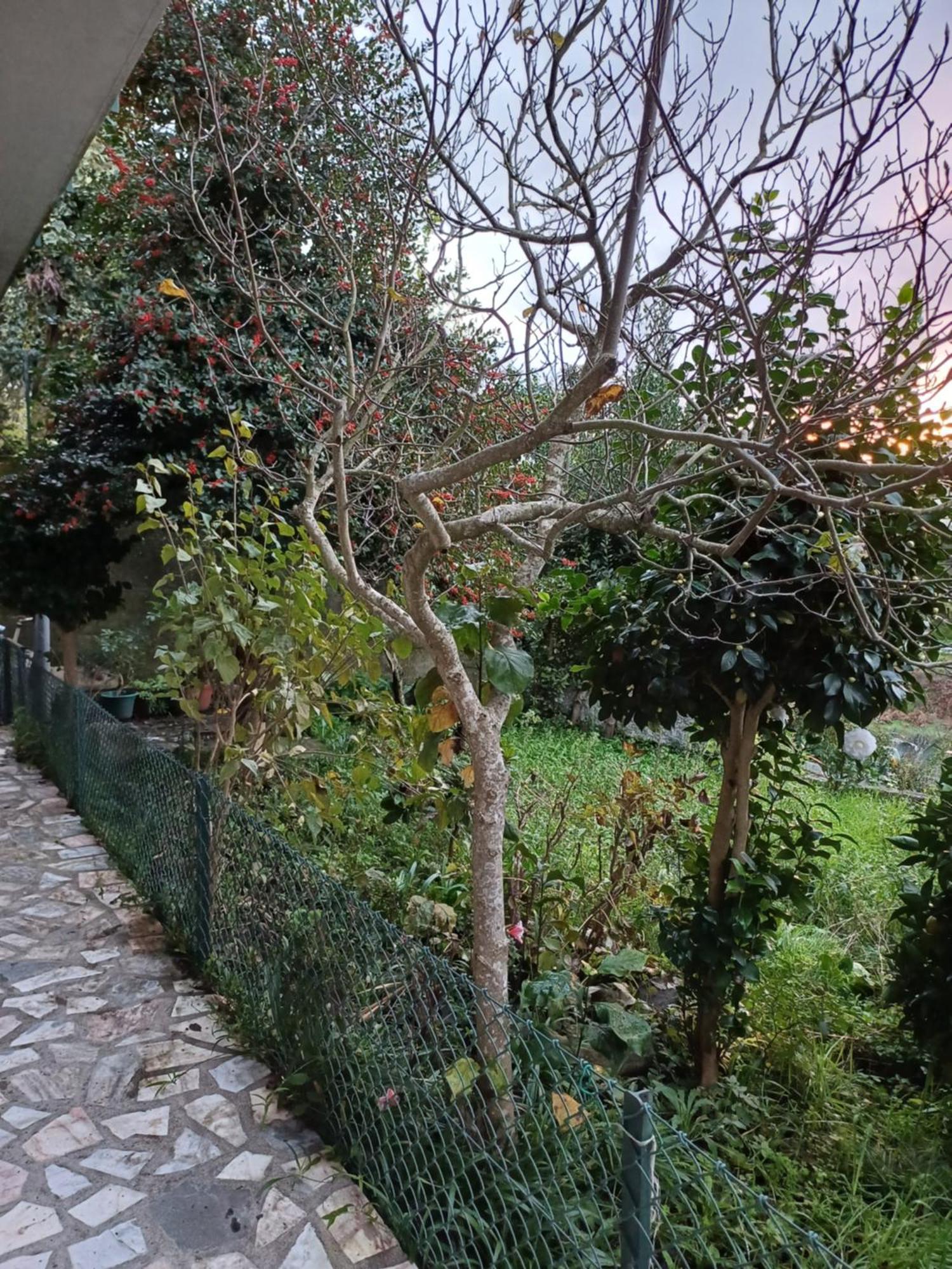 Amarante Residence Dış mekan fotoğraf